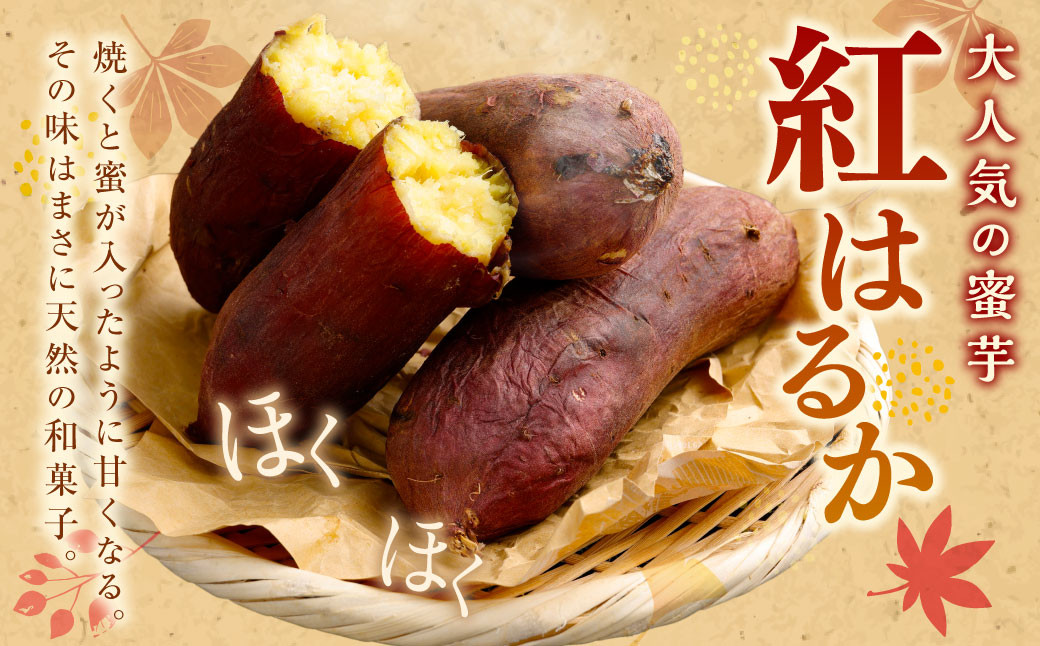 “熟成” 茨城県産 神栖市産 さつまいも 【 紅はるか 】 約5kg 