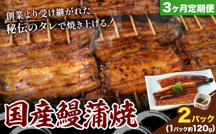 
                  【3ヶ月定期便】鰻 国産鰻蒲焼 2パック 約 120g ×2 有限会社安井家《申込月の翌月より出荷》千葉県 我孫子市  鰻 うなぎ 蒲焼 丑の日 蒲焼き 冷蔵 タレ 山椒【配送不可地域あり】(離島)
                