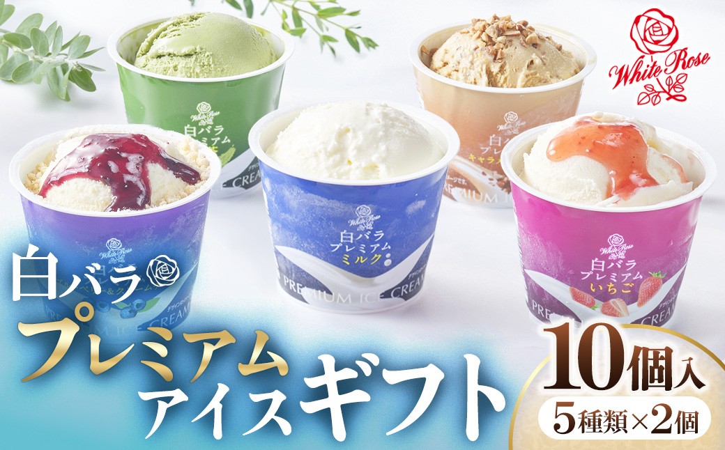 
                  【大山乳業】白バラプレミアムアイスギフト10個入り（大山乳業 詰め合わせ カップアイス ミルク 抹茶 キャラメル ナッツ いちご ブルーベリー クリームチーズ スイーツ 食べ比べ アイスクリーム 人気 倉吉 倉吉市）
                