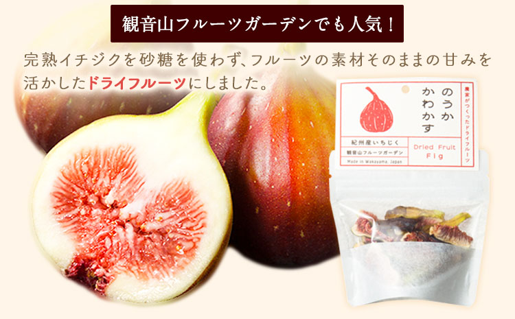 観音山ドライフルーツ（イチジク）30g 1個 有限会社柑香園《30日以内に出荷予定(土日祝除く)》フルーツ果物いちじくドライフルーツ---wsk_kcedryi_30d_22_6000_30g---
