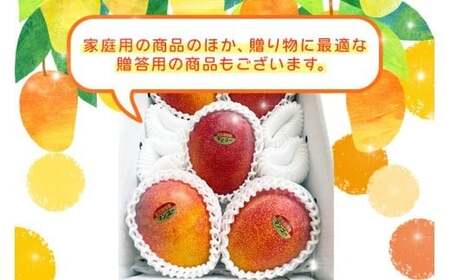 JH001　宮古島産マンゴー１㎏【㈱フラモン】