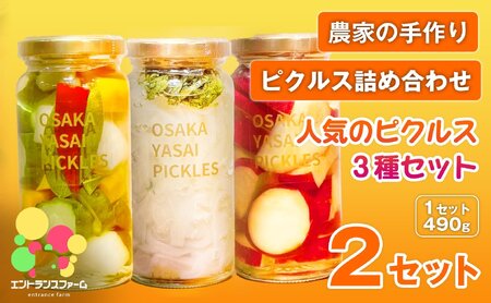 ＜農家の手作り ピクルス詰め合わせ！＞人気のピクルス3種セット(2セット・計6本)  タマネギと青じそ梅かつお さつまいもと柚子のサワーバニラ 酢漬け 漬物 おかず ヘルシー カラフル おつまみ ギフト 贈答用 【m104-08-B】【エントランスファーム】