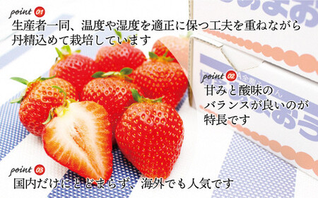 博多あまおう2パック【2024年3月中旬より順次発送】約560g[E2211a]