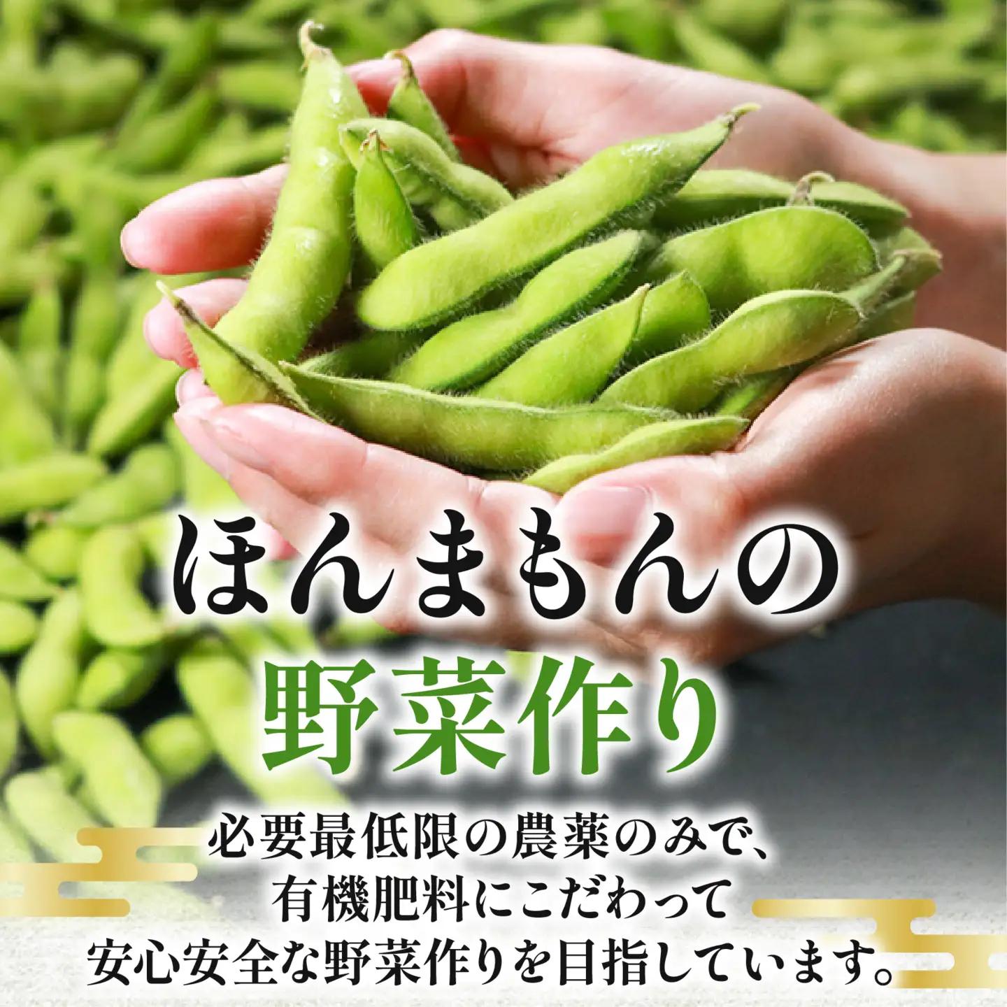【濃厚な甘み】有機肥料 枝豆 大粒 500g 冷蔵 上田ファーム
