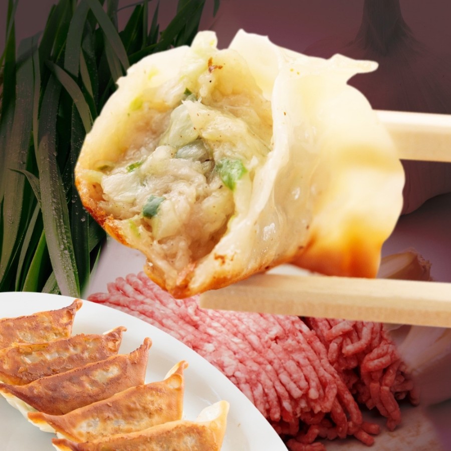 ＜屋台骨＞宮崎餃子60粒 わいわいセット 1200g