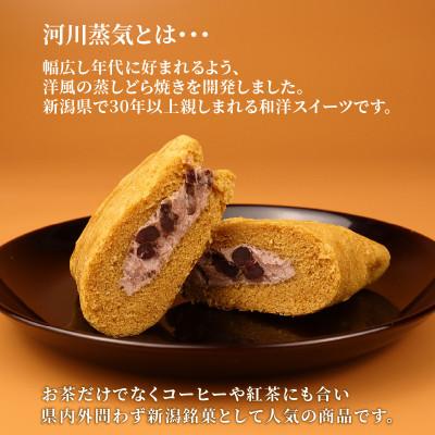 ふるさと納税 新発田市 菜菓亭 河川蒸気 蒸しどら焼き 10個入り |  | 01