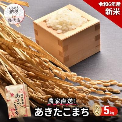 ふるさと納税 能代市 玄米 農家直送!秋田県産 あきたこまち 5kg[No.5335-0183]