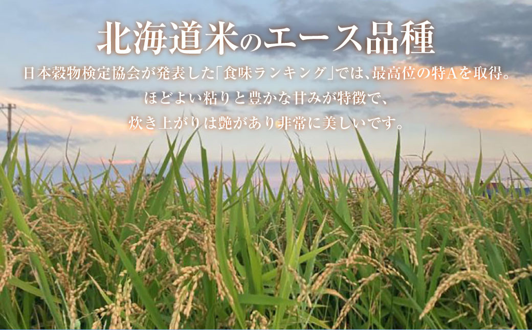 【令和7年産】ななつぼし（精白米） 5kg 北海道 鷹栖町 たかすのおむすび 米 コメ ご飯 精 白米 お米 ななつぼし 【2025年9月下旬より発送予定】