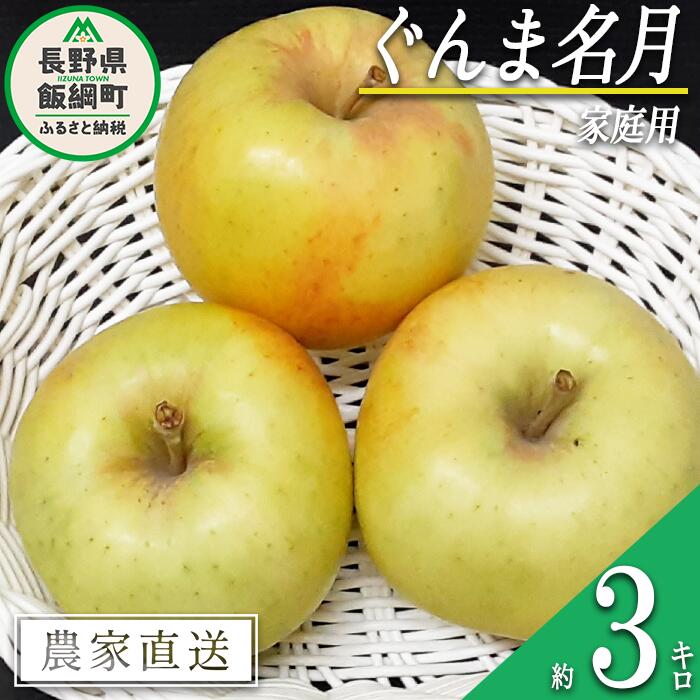 【ふるさと納税】 りんご ぐんま名月 家庭用 3kg 永野農園 沖縄県への配送不可 令和7年度収穫分 長野県 飯綱町 〔 信州 果物 フルーツ リンゴ 林檎 長野 予約 農家直送 10000円 〕発送時期：2025年11月上旬〜2025年11月下旬
