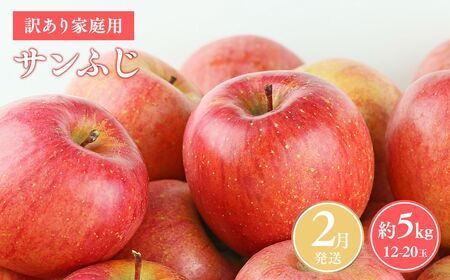 りんご 家庭用 サンふじ約5kg 青森県平川市産 [hi-0038-003-2]