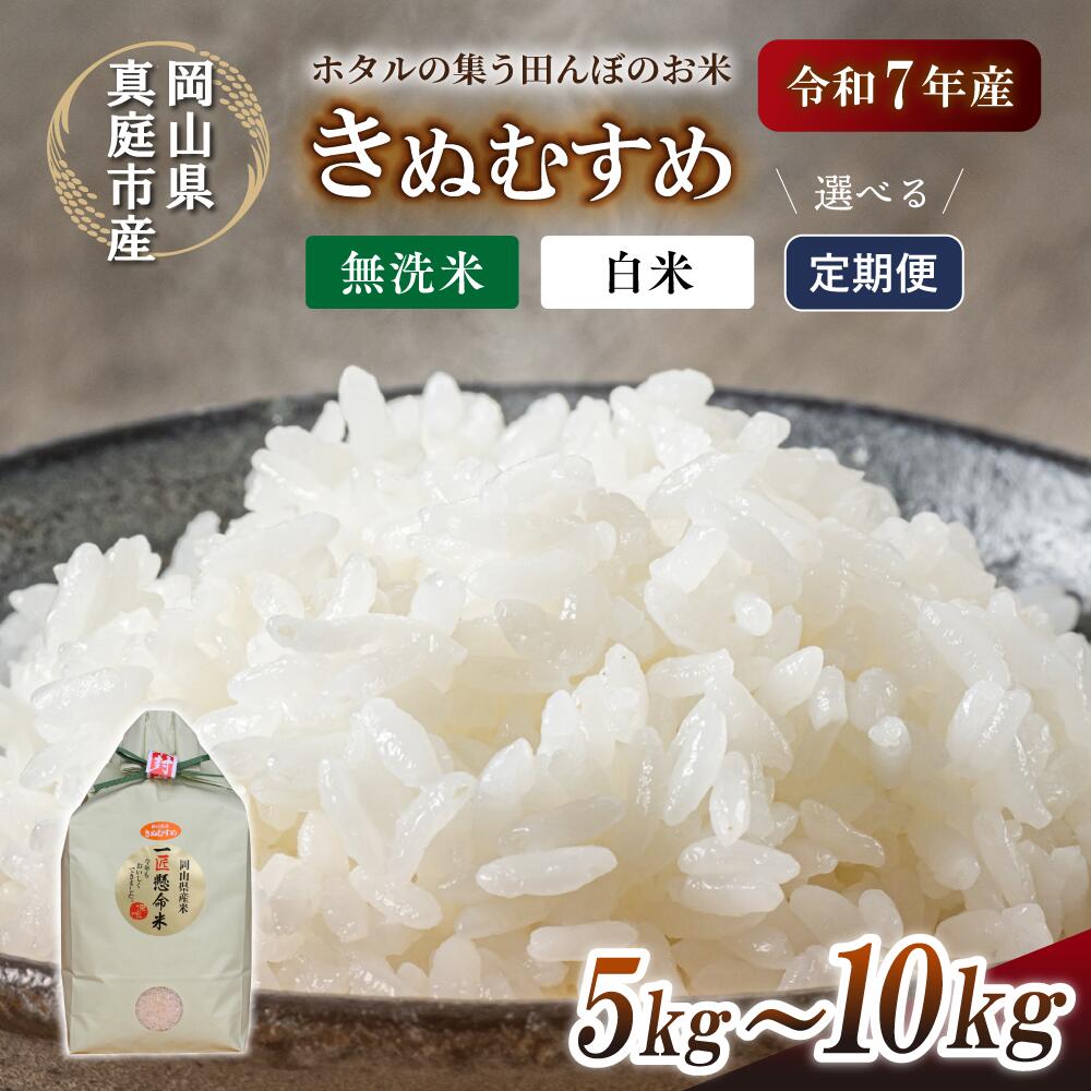 【ふるさと納税】 令和7年産米 真庭市産 きぬむすめ 白米 白米 無洗米 5kg 10kg 定期便 3回 6回 12回 / お米 国産 岡山県 真庭市 白米 米 きぬむすめ キヌムスメ 人気 ブランド米 精米 先行予約 定期便 令和7年産 2025年産