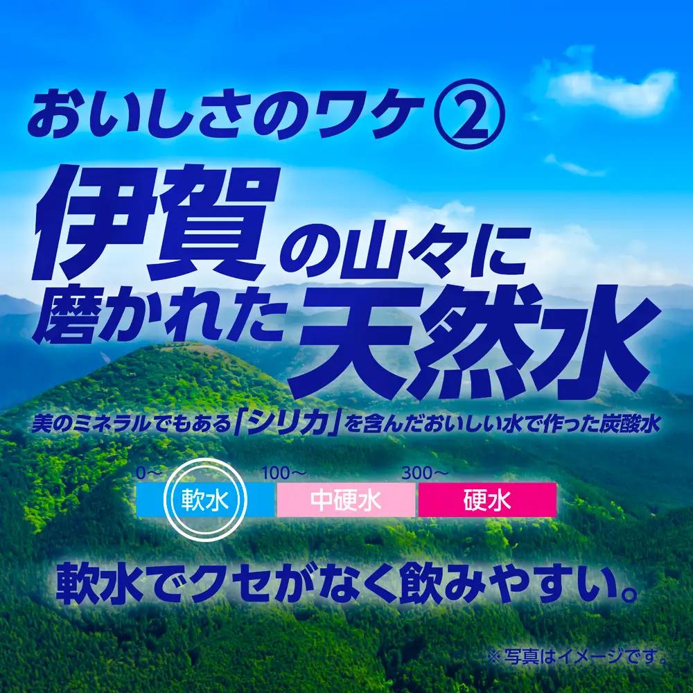 炭酸 サンガリア 伊賀の天然水 強炭酸水2ケース （1L×24本） 【igge0002】