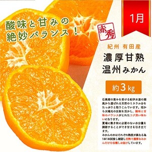 【全3回】紀州和歌山産旬の柑橘定期便 (みかん・なつみ・バレンシア) 【tkb378】