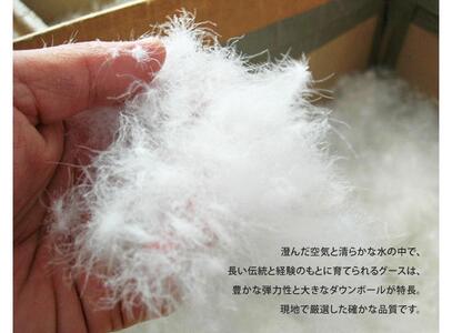 【大東寝具】～快眠のための最高級羽毛布団～　≪春秋用≫大東寝具オリジナルプレミアム　合掛け羽毛布団　オズゴ　ポーランド産　ホワイトグースダウン95％　（コウダ種）（ダブル）