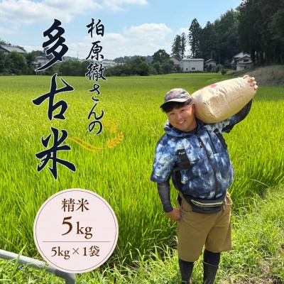 
            多古米セレクション　柏原徹さんの多古米コシヒカリ　精米5kg　令和7年産【1655239】
          