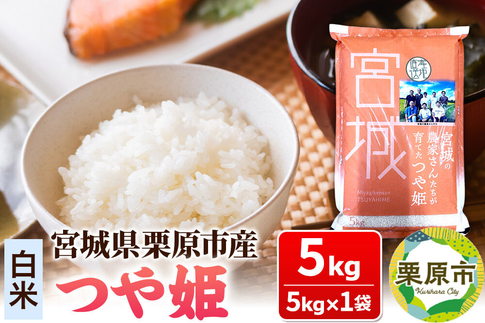 【白米】令和7年産 つや姫 5kg 宮城県栗原市産
