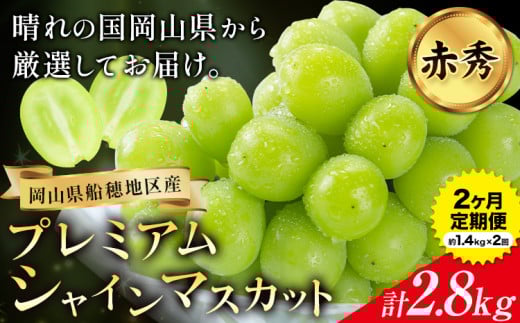 【2026年先行予約】ぶどう プレミアム シャインマスカット定期便 9月 10月発送 船穂 赤秀品 晴王 計2.8kg(約1.4kg×2回お届け)《2026年9月中旬-10月中旬頃出荷》晴レ乃青果　(岡山中央卸売市場店(富士紙工 有限会社)) マスカット 岡山県 浅口市 フルーツ 果物 【配送不可地域あり】