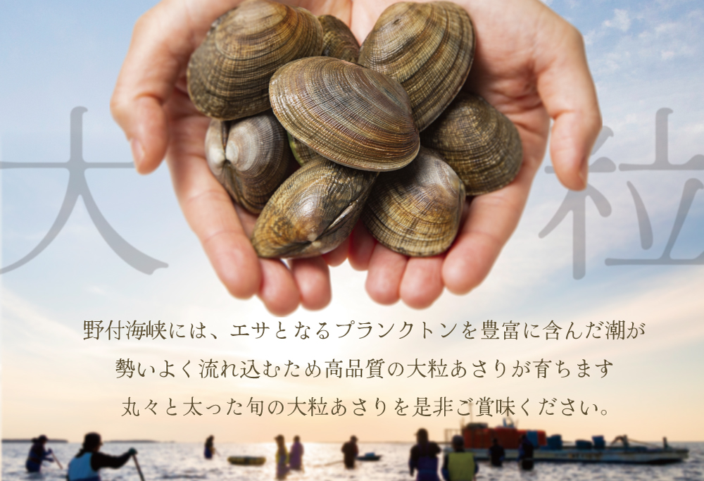 御礼！ランキング第1位獲得！北海道 野付産 大粒 天然 活あさり 2kg【UY0000003】