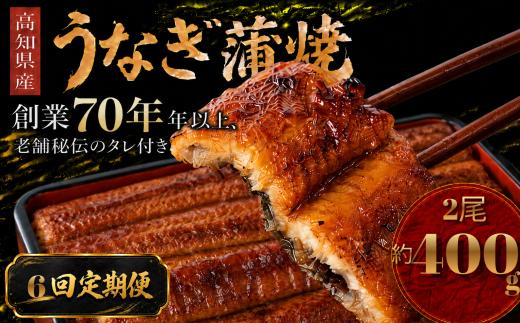 【6回 定期便】  高知県産 うなぎ 蒲焼 2尾 | 国産 日本産 うな重 うな丼 鰻 ウナギ 有頭 蒲焼き かばやき 土用丑の日 土用の丑の日 丑の日 魚 魚介 魚貝 海鮮 高級 贅沢 特別 老舗 初音 釜めし初音 鰻蒲焼 タレ付き タレ 贈答 お取り寄せ 冷凍 うな重 ギフト 贈り物 お祝い プレゼント ご褒美 人気 おすすめ 湯煎 簡単 調理 おかず お手軽 ご当地 グルメ 高知県 南国市