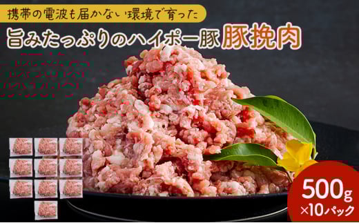 [№5681-0151]豚肉 阿武町産 豚挽肉 500g×10パック 小分けセット | 携帯の電波も届かない環境で育った旨みたっぷりのハイポー豚 ひき肉 挽肉 豚 肉 お肉 ※配送不可:離島