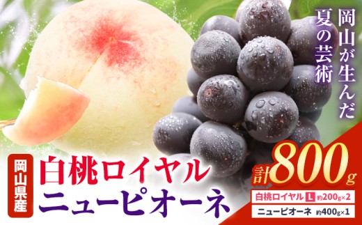 【先行予約】岡山県産 白桃ロイヤル ニューピオーネ 詰合せ 選べる 計800g 株式会社はちや《7月上旬‐8月下旬頃出荷》岡山県 浅口市 白桃 桃 ぶどう 葡萄 フルーツ ギフト 果物 デザート 国産【配送不可地域あり】