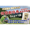 【ふるさと納税】令和6年産　丹波篠山産 特Aランク 農薬不使用特別栽培米　越光 （5kg×1袋） | 丹波篠山 お米 おこめ ブランド米 ごはん ご飯 白米 米 コメ こめ 精米 精白米 ライス おいしい米 美味しいお米 兵庫県 お取り寄せ こしひかり コシヒカリ