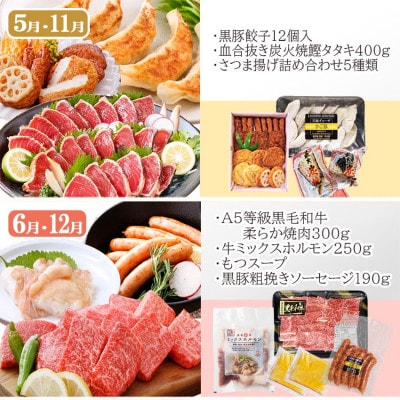 お肉とお魚　お楽しみ定期便　6回配送JJ10-0002【配送不可地域：離島】