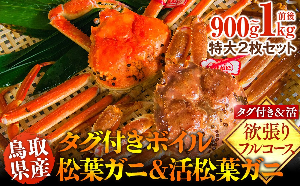 
                  1035.鳥取県産　タグ付きボイル松葉ガニと活松葉ガニの欲張りフルコース特大2枚セット　(900g～1kg)　※2026年11月上旬～2027年3月下旬頃に順次発送予定
                