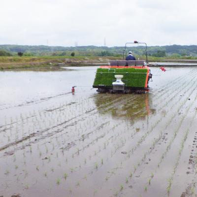 ふるさと納税 城里町 【令和7年産】城里町内・桂農産の【つきあかり】20kg(5kg×4袋)(精米)「関東地方配送限定」 |  | 01