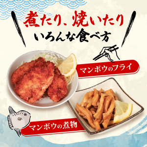 マンボウ正肉 600g 鮮魚 刺身 海鮮 魚 冷凍 生食可 フライ 煮物  お供  おつまみ 刺身