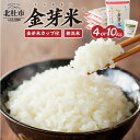 【ふるさと納税】 【 令和6年度新米 先行予約 】米 令和6年度米 無洗米 選べる容量 4kg 10kg 選べるお届け回数 1回～12回 定期便 金芽米 農林48号 特別栽培米 お米 ごはん 国産 ブランド米 健康食品 山梨県 北杜市産 送料無料