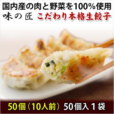 ふるさと納税 塩竈市 こだわり本格生餃子50個(10人前)　