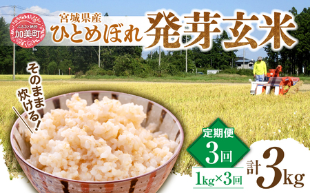 [発芽玄米] 宮城県産ひとめぼれ発芽玄米1kg×3回定期便 菅原商店