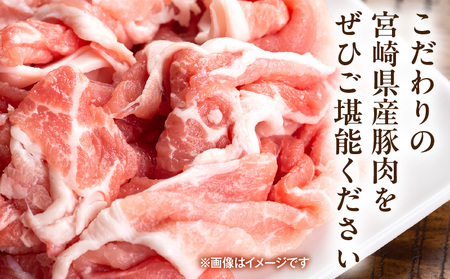 宮崎県産豚肉小間切れ 200g×10パック 肉 豚肉 国産