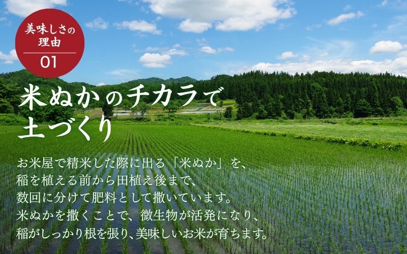 ＜全3回定期便＞ 真庭市産コシヒカリ 米ぬか 牡蠣栽培米 『 一心良米 』 無洗米 5kg×3回 【令和7年産】 / お米 いっしんりょうまい 岡山県 こしひかり 人気 ブランド 2025年産 【tk