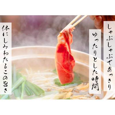 ふるさと納税 平取町 北海道民おすすめ『ラムしゃぶ』1kg(500g×2パック)