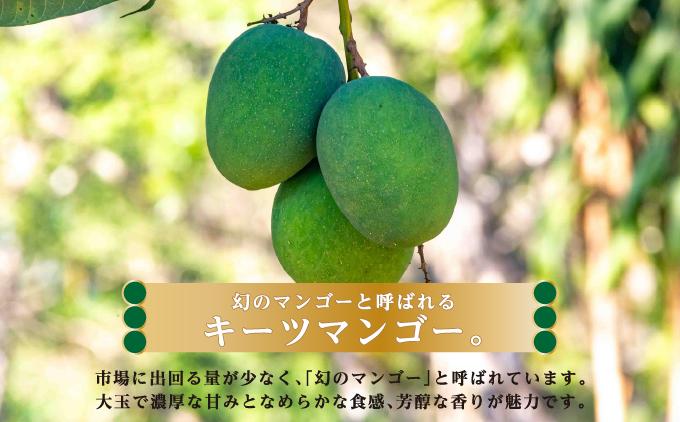 キーツマンゴー1kg  贈答用