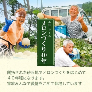 【令和7年産先行予約】 秋どりアンデスメロン 1玉 (3Lサイズ) 山形県鶴岡市産 庄内砂丘メロン　小林ファーム