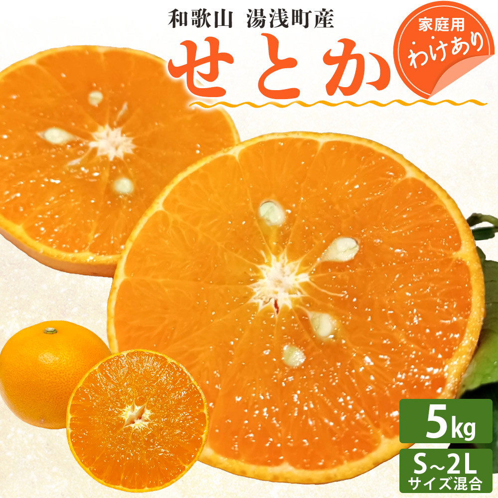 
EQ6002_【訳あり 家庭用】和歌山 湯浅町産 せとか 5kg（S～2Lサイズ混合）＜2025年2月発送＞
