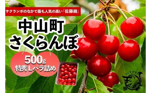 【2025年発送】さくらんぼ　佐藤錦　500ｇ　特秀Ｌバラ詰め