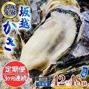 【ふるさと納税】定期便 牡蠣 生食用 坂越かき 殻付き 42～48個《3ヶ月連続お届け》 成林水産 [ 生牡蠣 真牡蠣 かき カキ 冬牡蠣 ]　定期便　お届け：2025年1月中旬～3月中旬まで