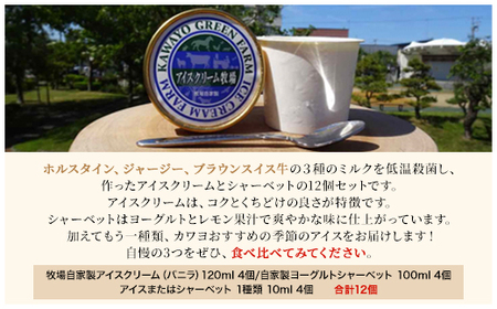 カワヨグリーン牧場自家製アイスクリーム、シャーベット12個セット 【 ふるさと納税 人気 おすすめ ランキング 12個 セット アイスクリーム アイス シャーベット バニラ バニラアイス 人気 詰合せ