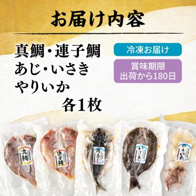 ふるさと納税 糸島市 活き活き鮮魚開きセット(真鯛・連子鯛・アジ・いさき・やりいか 計 5枚) [AMR001] |  | 01