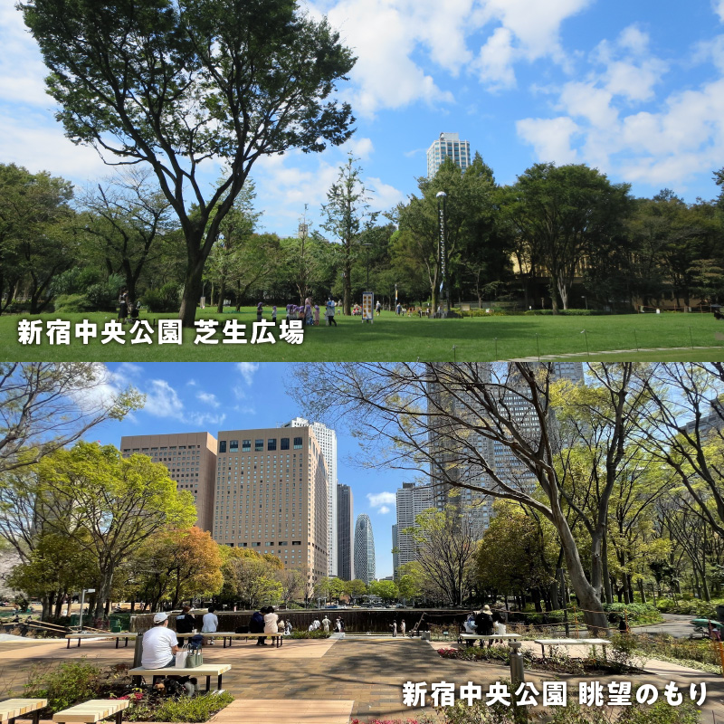 みどり公園基金 1口 10,000円