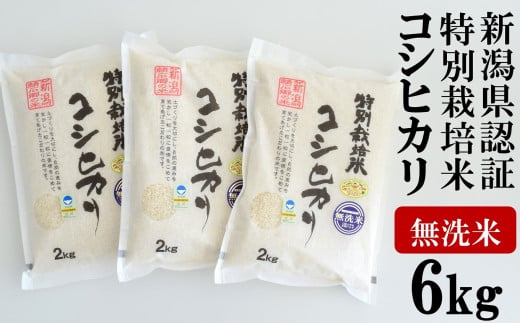 【令和6年産新米】新潟県認証特別栽培米 コシヒカリ 無洗米 6kg（2kg×3袋）中村農研 小分け[Y0126]