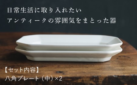 【波佐見焼】八角 プレート (中) 白マット釉 2枚セット 食器 皿【イロドリ】[KE37]