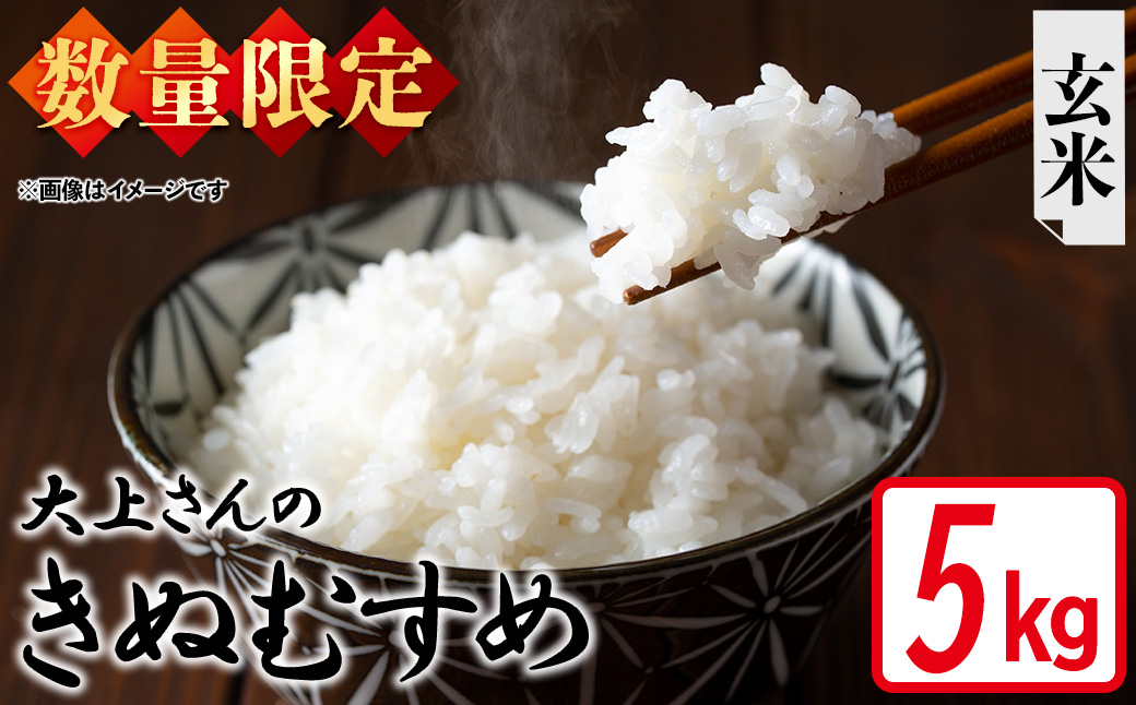 ＜令和7年産・数量限定＞大上さんのきぬむすめ(玄米・5kg) 【sm-EF004-B05】【やまのおかげ屋】