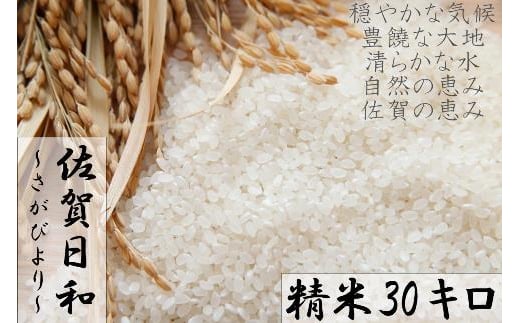 
12年連続特Ａ受賞「さがびより」(精米30kg)【plan】[FBF012]
