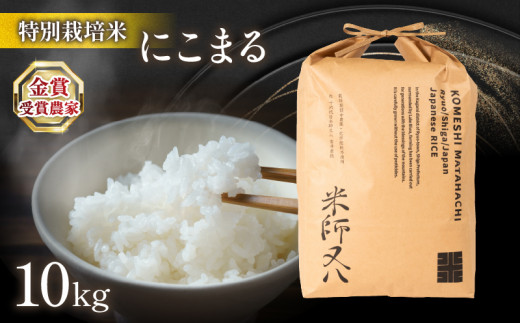米 にこまる 10kg  ( 令和8年産 2026年産米 ブランド 米 rice 精米 白米 ご飯 内祝い 十六代目米師又八 謹製 もちもち 国産 送料無料 滋賀県 竜王 ふるさと納税 )