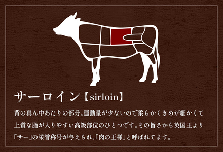 【和牛セレブ】【復興支援】能登牛 サーロインステーキ240g×4枚 \ 牛肉 最高級 黒毛和牛 和牛 肉汁　